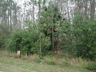 1st image of 5911 Shady Oaks Ln