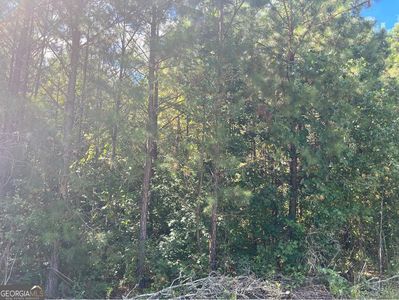 409 Red Oak Dr, Waverly Hall, GA, 31831