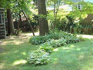 2nd image of 17 Thorney Ave