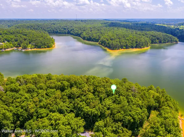 551 County Road 4001, Logan, AL 35098