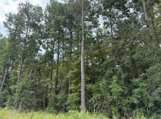 0 Charleston Hwy, Orangeburg, SC 29115