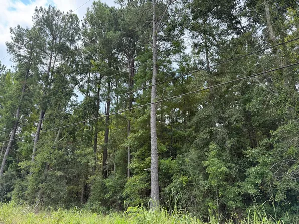 0 Charleston Hwy, Orangeburg, SC 29115