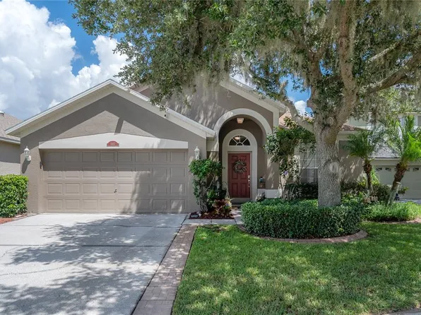 1327 Brooke View Dr, Odessa, FL 33556