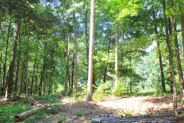 2nd image of 273 Woodpecker Ln