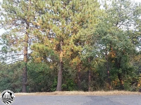 21473 Green Oaks Ct, Sonora, CA 95370