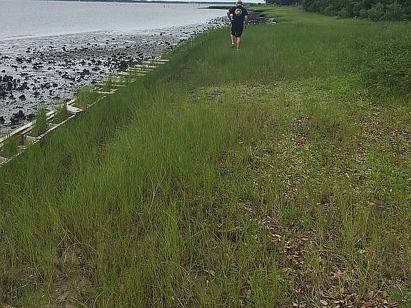 2nd image of 2341 Shore Dr