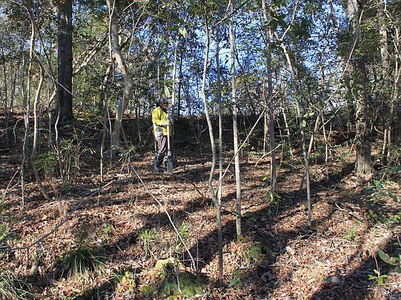 View looking up slope.