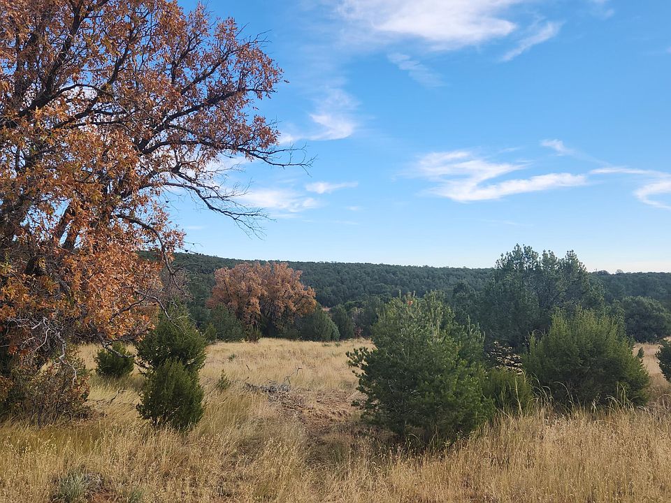 1st image of Camino De Las Palas