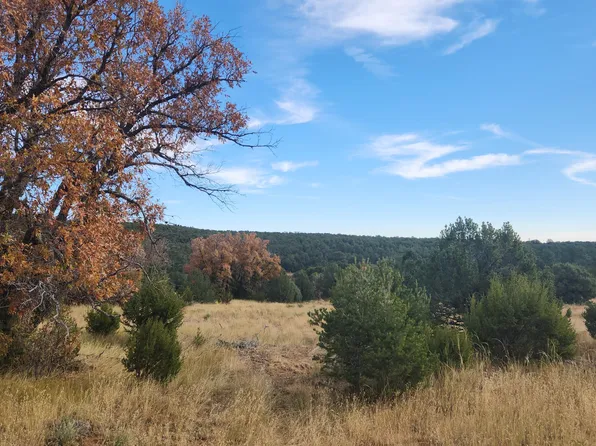 Camino De Las Palas, Estancia, NM 87016