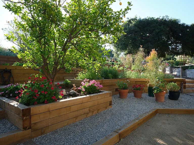 The Valley Oaks Village Community Garden. Residents can rent garden plots.