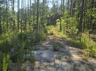 1048 Serenity Pointe Drive, Lincolnton, GA 30817
