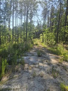 1048 Serenity Pointe Drive, Lincolnton, GA, 30817