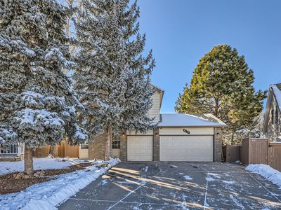 4737 N Bearlily Way, Castle Rock, CO, 80109