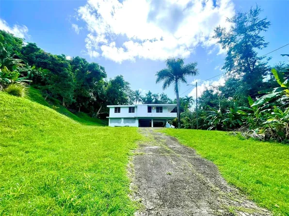 Caserio Roig 124 Bo Mabu, Humacao, PR 00791
