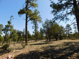 3796 Durango Dr, Happy Jack, AZ 86024