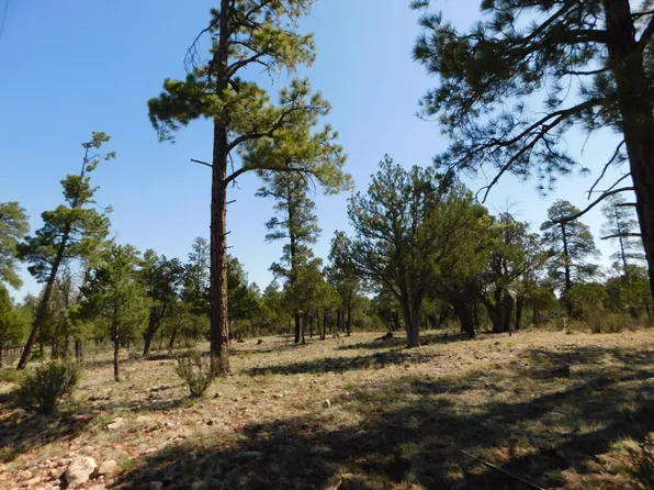 3796 Durango Dr, Happy Jack, AZ 86024