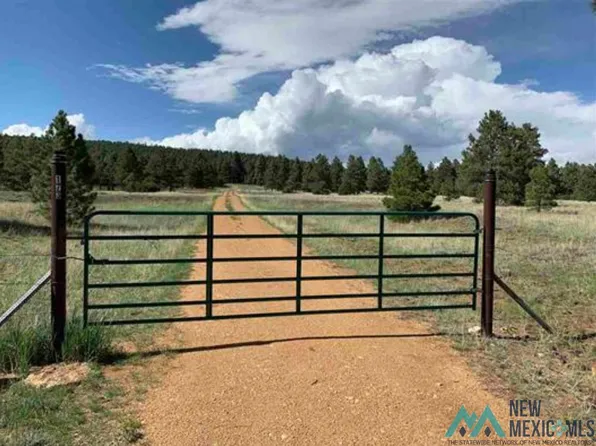 LOT R La Rama Rd #13, Buena Vista, NM 87712