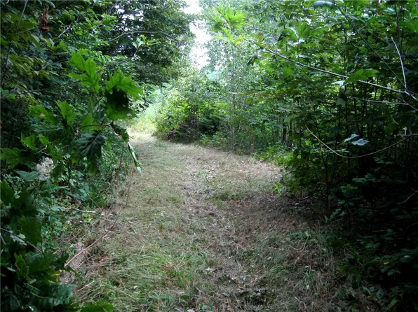 Peaceful Ct, Potomac, IL 61865