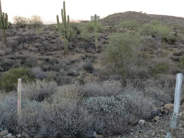 14312 E Zorra Way, Fountain Hills, AZ 85268