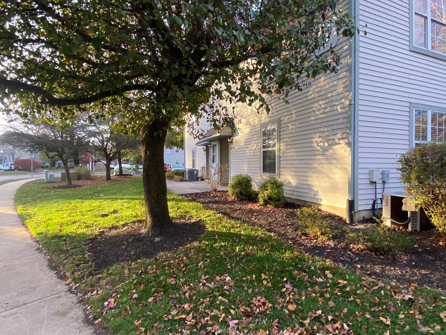 2 bed, 1100 sqft, $2,390 — Photo 4