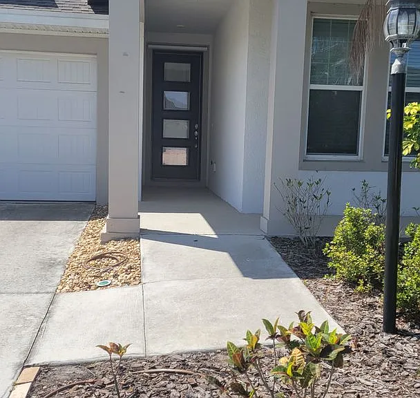 5534 Spanish Moss Cv — Photo 2