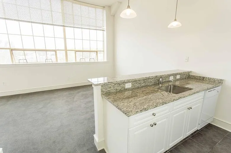 THE DESIGN PAK LOFTS (175 MAPLE STREET) — Photo 2
