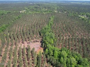 County Road 5033, Heidelberg, MS 39439