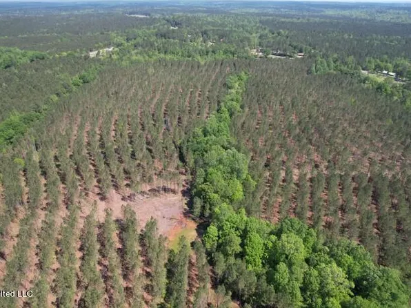 County Road 5033, Heidelberg, MS 39439