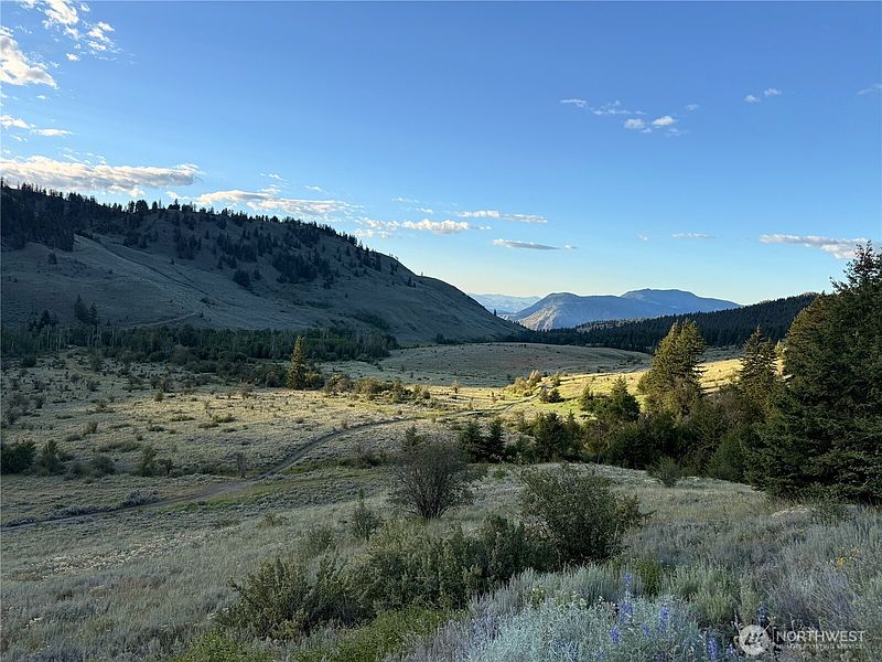 2nd image of 0 Chopaka Mountain Rd.