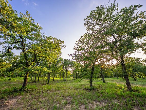 5th image of 8606 Star Hollow Rd