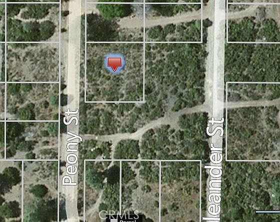 1st image of 3486 Peony St