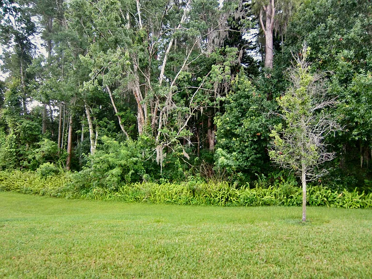 8418 Praise Dr — Photo 36