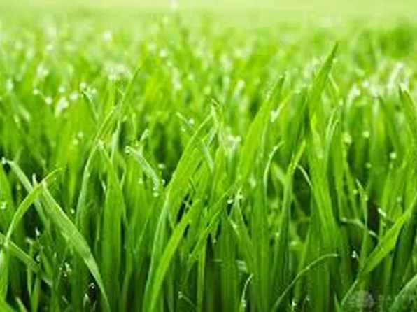 0 High St, Piqua, OH 45356