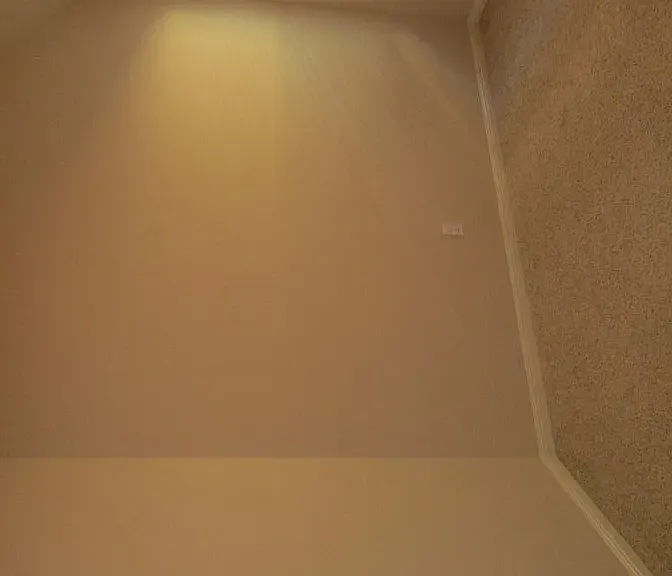 bedroom (has hardwood floor now)
