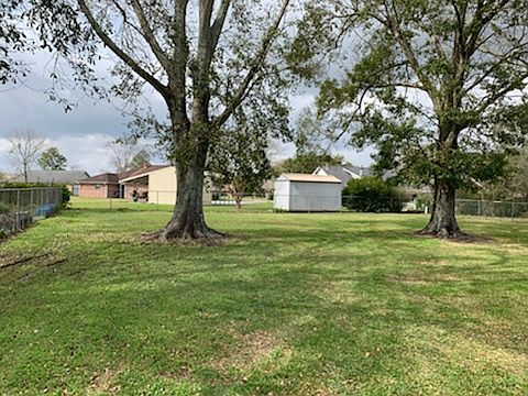 Big Back Yard