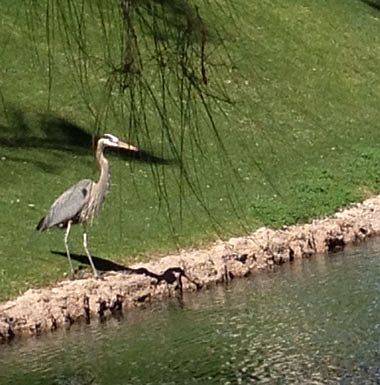 Fishing!