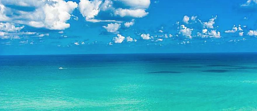 1st image of 1800 S Ocean Dr #36033