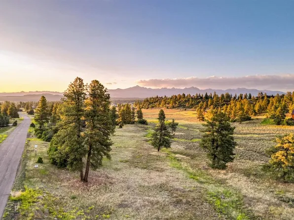 350 Bristlecone Drive, Pagosa Springs, CO 81147