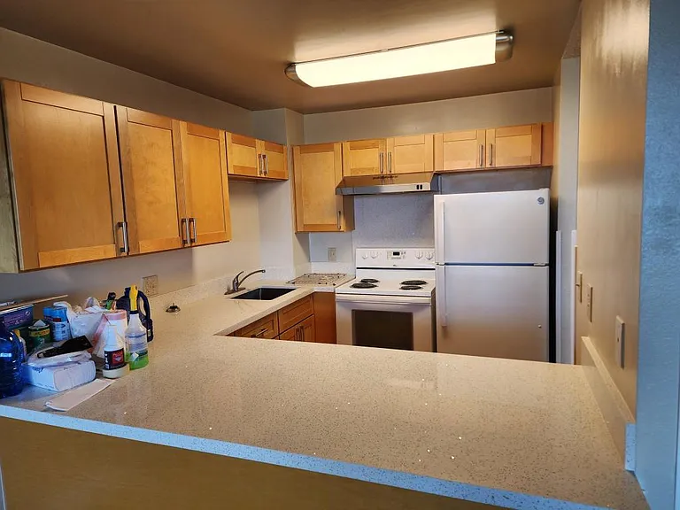 55 S Kukui St #DH2508 — Photo 5