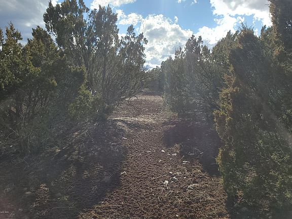 2nd image of 54 County Road 3114