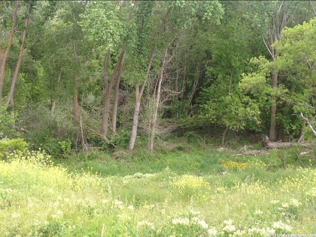 2nd image of 523 Oak Hollow Ln