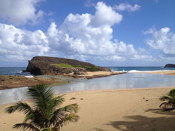Private Cove Backyard