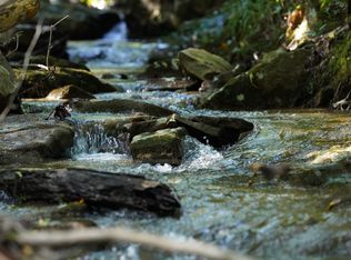 710 Black Creek Rd, Collinsville, AL 35961