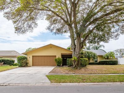 2825 Long View Dr, Clearwater, FL, 33761
