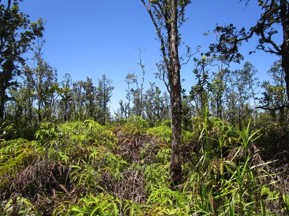 Noio St Lot 26, Mountain View, HI 96771