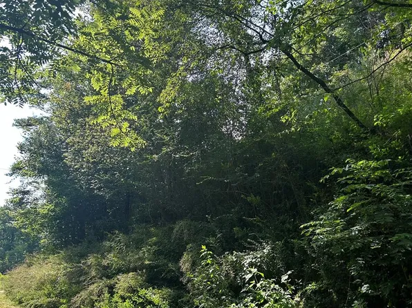 2313 Hart Ave, State Center, IA 50247