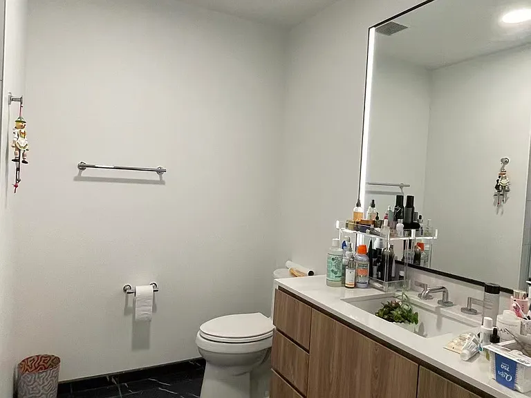 900 S Michigan Ave #5707 — Photo 4
