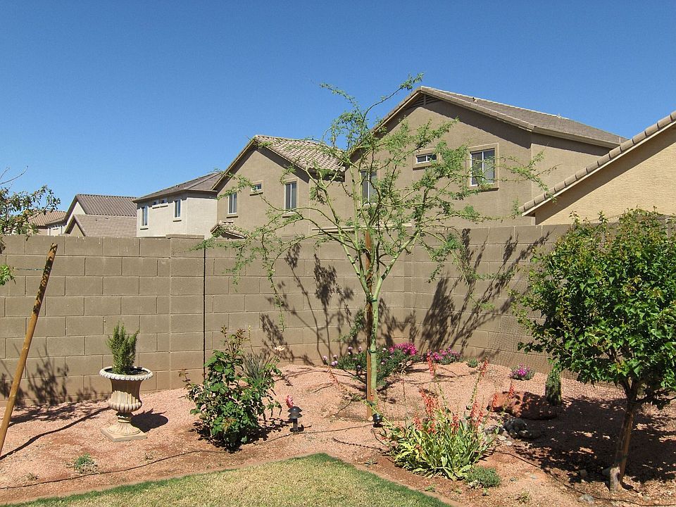 Backyard-2
