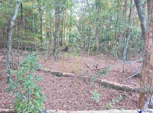 Robert Rd LOT 13, Lake City, SC 29560