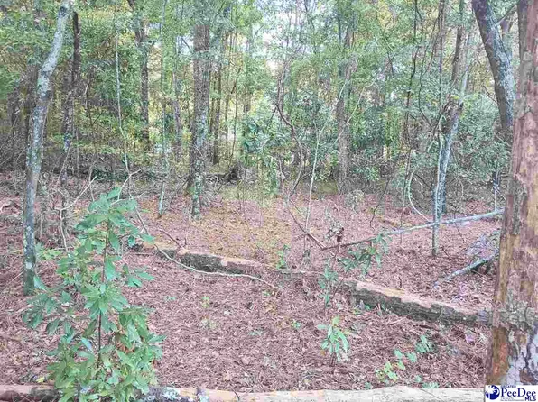 Robert Rd Lot 13, Lake City, SC 29560
